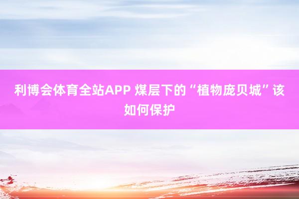 利博会体育全站APP 煤层下的“植物庞贝城”该如何保护