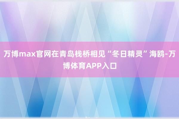 万博max官网在青岛栈桥相见“冬日精灵”海鸥-万博体育APP入口