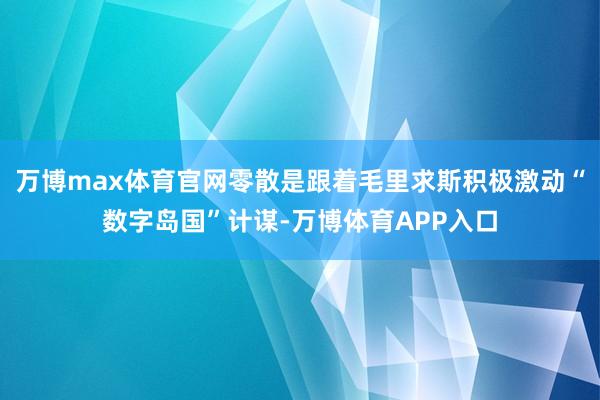 万博max体育官网零散是跟着毛里求斯积极激动“数字岛国”计谋-万博体育APP入口