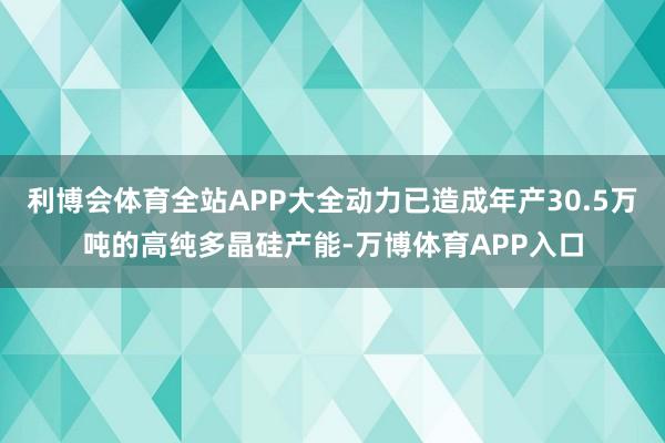 利博会体育全站APP大全动力已造成年产30.5万吨的高纯多晶硅产能-万博体育APP入口