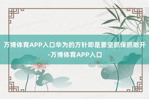 万博体育APP入口华为的方针即是要坚抓保抓敞开-万博体育APP入口