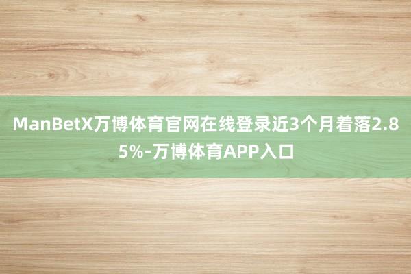 ManBetX万博体育官网在线登录近3个月着落2.85%-万博体育APP入口