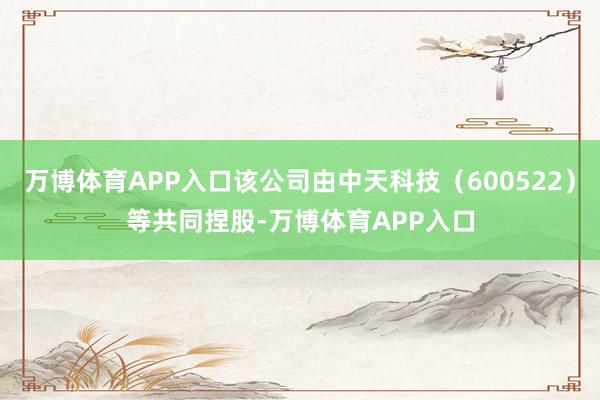 万博体育APP入口该公司由中天科技（600522）等共同捏股-万博体育APP入口